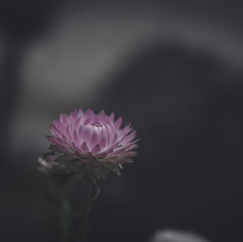 Ene 4 – Trascendencia e Inmanecia de Dios