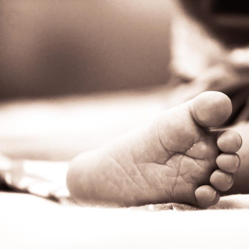 Ene 16 – Salvación: La Regeneración (Nuevo Nacimiento)