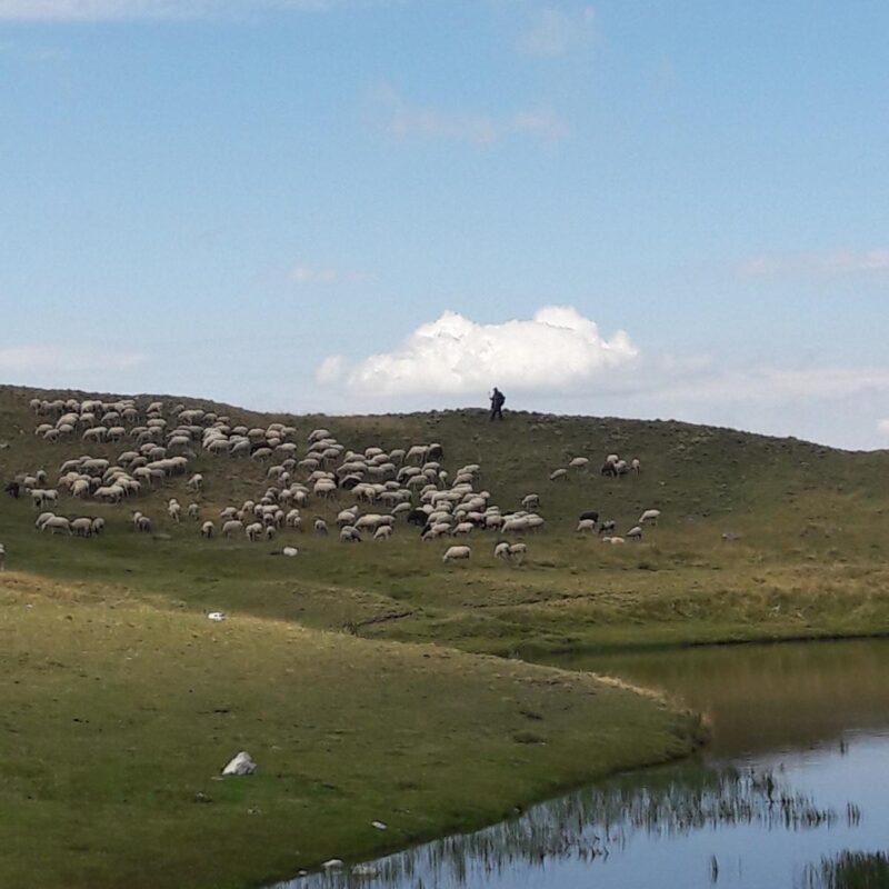 Ene 23 – La Iglesia: Pastores y Diáconos