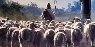 La contemplación  de Dios